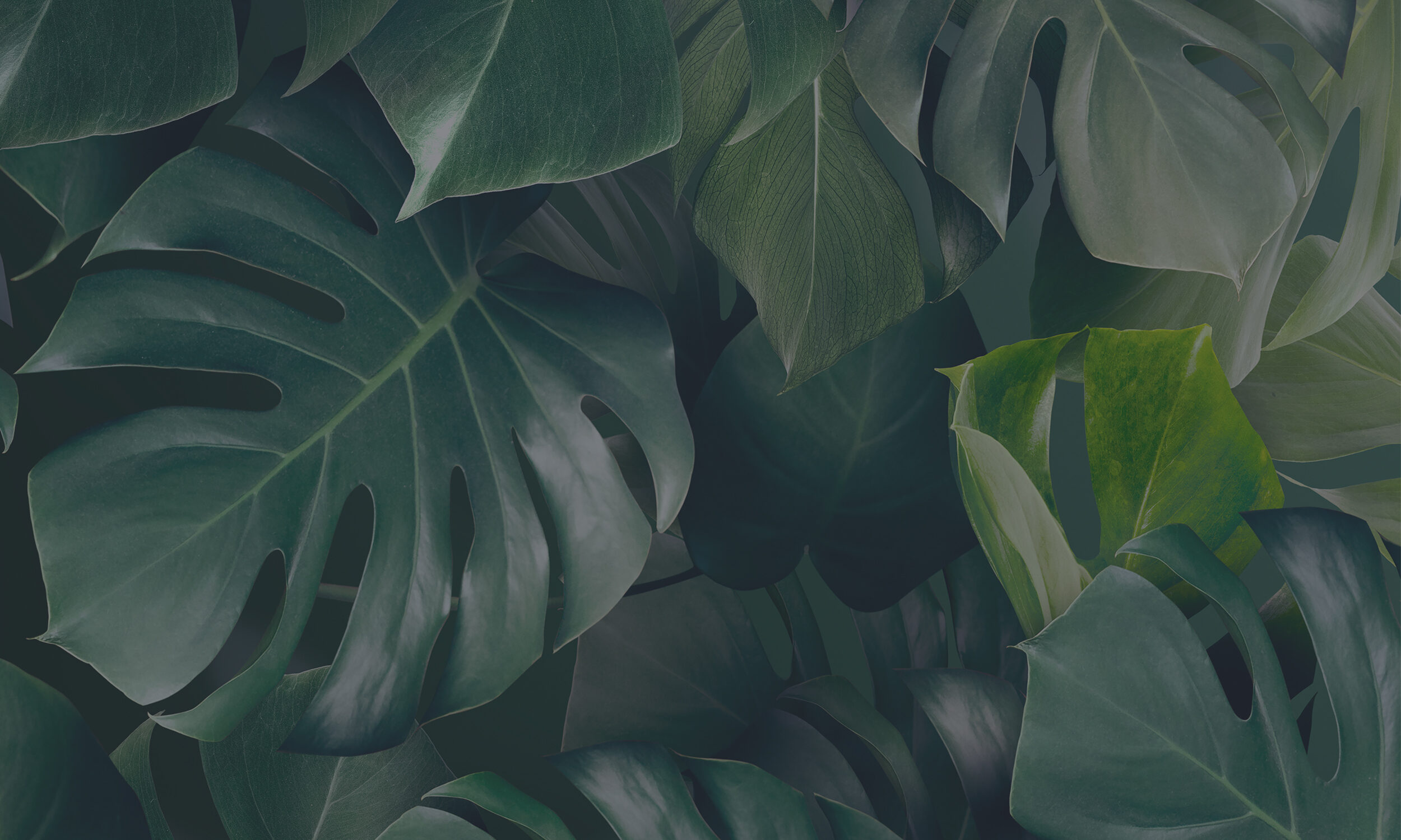 The Best Recruitment CRM and ATS | itris