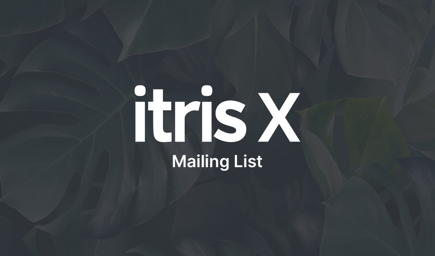 itris X learning Mailer